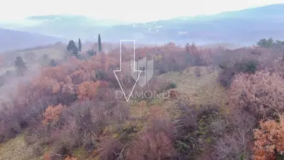 Forest 8,000 m², Motovun - peaceful location and view - 4