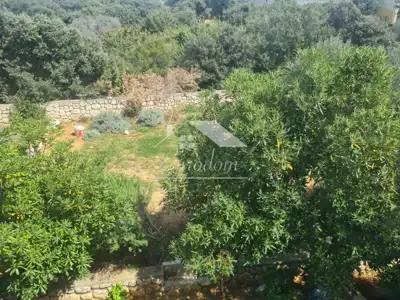 Mandre, otok Pag – dvosobni apartman s pogledom na more i vrtom, 350 m - 17
