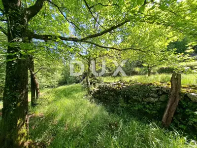 OPATIJA, KOLAVIĆI - building land 3000 m² with panoramic views - 4