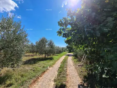 PULA - Građevinsko zemljište na Busoleru - 2