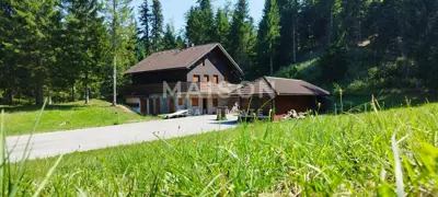 Haus 165 m², Ravna Gora - Ruhe in unberührter Natur