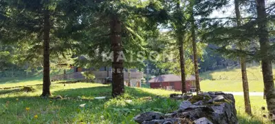 Haus 165 m², Ravna Gora - Ruhe in unberührter Natur - 5