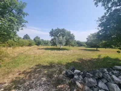 Vila 352 m², Poreč - bazen i natkrivena ljetna kuhinja - 2