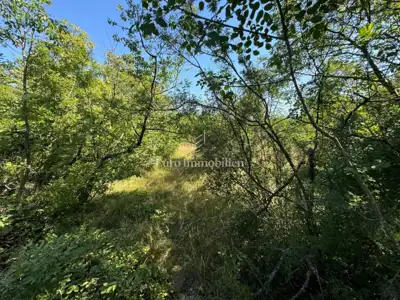Građevinsko zemljište 3.491 m², Labin - mirna lokacija - 2