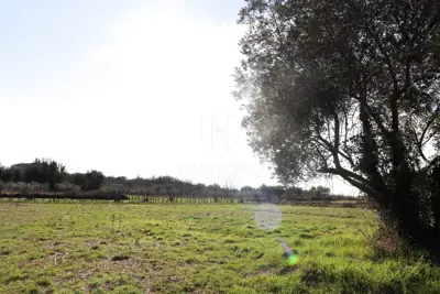 Building plot, Poreč surroundings - peaceful location and greenery - 2