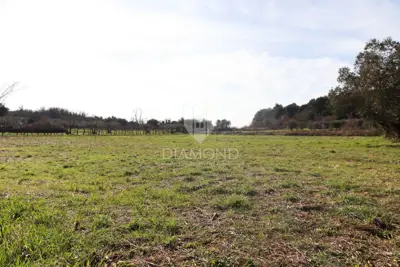 Building plot, Poreč surroundings - peaceful location and greenery - 3