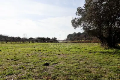Građevinsko zemljište, Poreč okolica - mirna lokacija i zelenilo