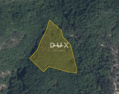 Zemljište 12.020 m², Novaki Pazinski - šuma