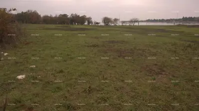 Building land 1 373 m², Dajla near Novigrad, 200 m from the sea - 2
