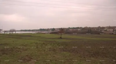 Građevinsko zemljište 1 373 m², Dajla kod Novigrada, 200 m od mora