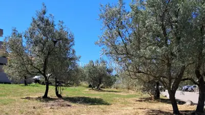 Building plot 1,277 m², Peroj - along an asphalted road