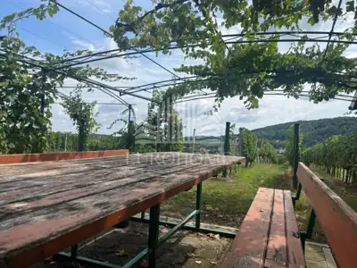 House, Ledinec, Beretinec - peace in nature - 12