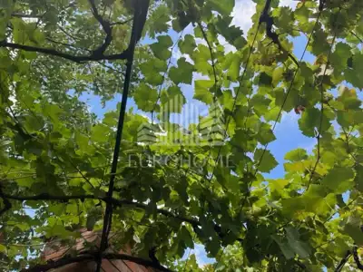 House, Ledinec, Beretinec - peace in nature - 10