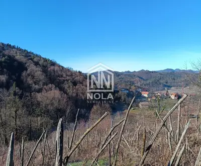 Weinberghaus 55 m², Cvetlin bei Trakošćan, ausgezeichneter Ausblick - 5
