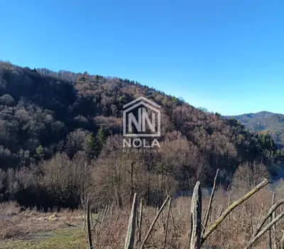 Weinberghaus 55 m², Cvetlin bei Trakošćan, ausgezeichneter Ausblick - 4
