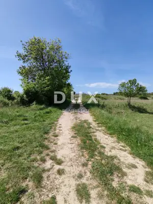 Landwirtschaftsfläche, Briševo - Blick auf Velebit - 4