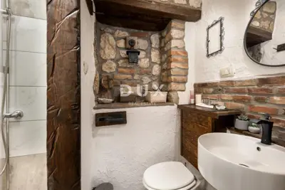 House 230 m², Drivenik - pool and yard - 19