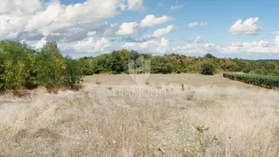 Poreč, okolica - spacious edge plot only 6 km from the sea - 4