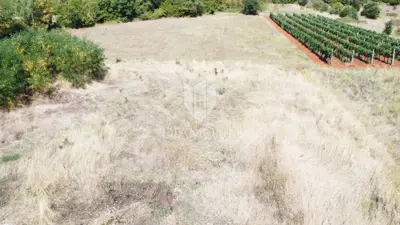 Poreč, okolica - spacious edge plot only 6 km from the sea - 6