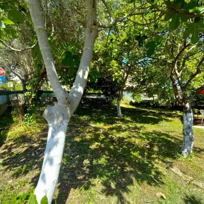 Pula! Erdgeschosswohnung mit großem Garten und Terrasse. - 19