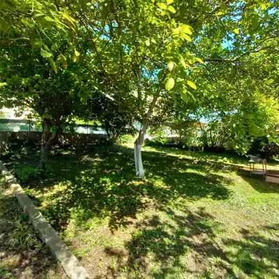 Pula! Erdgeschosswohnung mit großem Garten und Terrasse. - 17