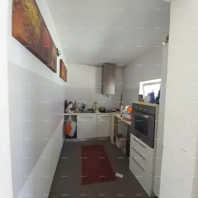 Pula! Erdgeschosswohnung mit großem Garten und Terrasse. - 4
