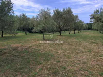 Agricultural land 2,002 m², Peroj - along the edge of the construction zone - 2