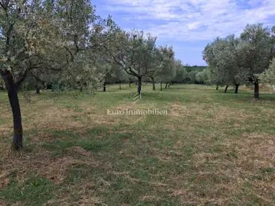 Poljoprivredno zemljište 2.002 m², Peroj - uz rub građevinske zone