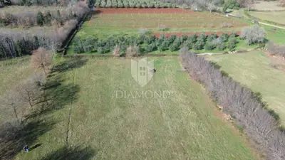 Bau- und Landwirtschaftsland 11.500 m², Barban - 3