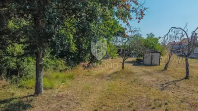 Novigrad, surroundings! Building plot 300 m from the sea! - 4