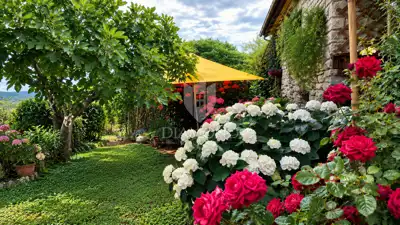 Haus 120 m², Umag - Garten und Sommerküche - 21