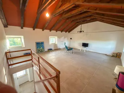 Haus 120 m², Umag - Garten und Sommerküche - 9