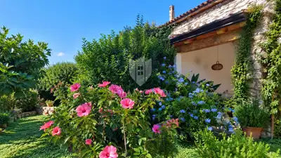 Haus 120 m², Umag - Garten und Sommerküche - 12