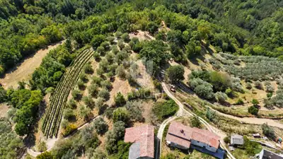 Building plot 2,250 m², Cerovlje - open view - 2
