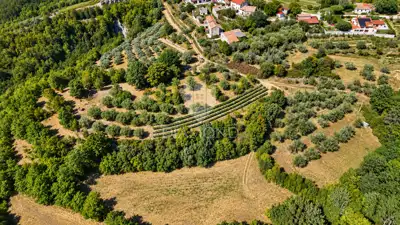 Building plot 2,250 m², Cerovlje - open view - 4