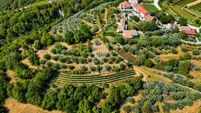 Bauland 2.250 m², Cerovlje - offener Blick