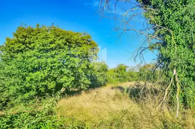 Building plot 932 m², Poreč surroundings - quiet location - 2