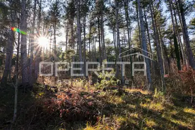 House 219 m², Brštanovo - peace and privacy - 15