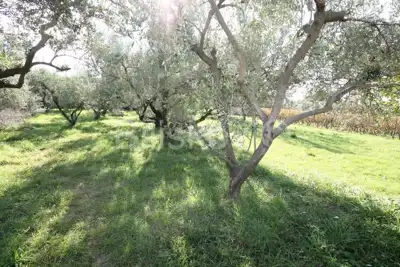 Kaštel Sućurac, građevinsko 873 m², prodaja - 7