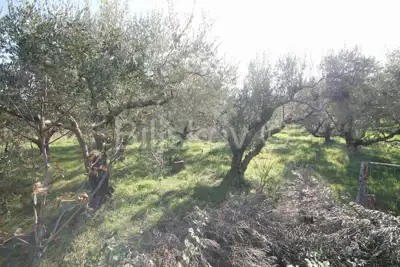 Kaštel Sućurac, građevinsko 873 m², prodaja - 9