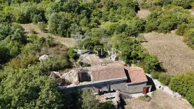 Istria, Vodnjan, Semi-detached old house on mixed-use land with potential - 13