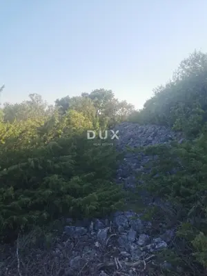 Olive grove 540 m², Kornić on the island of Krk - sea view - 5