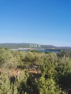 Olive grove 540 m², Kornić on the island of Krk - sea view - 3