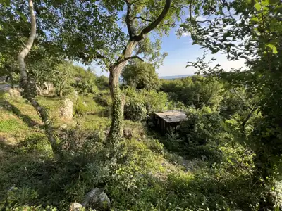 Grundstück zum Kauf in Grižane-Belgrad - 3