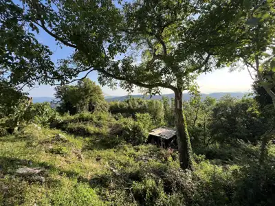 Crikvenica Hinterland, Grižane - building plot 497 m²