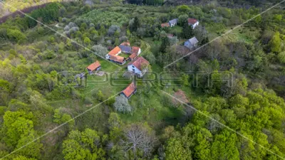 Estate in Krnjak, drinking water sources and 66% arable land - 7