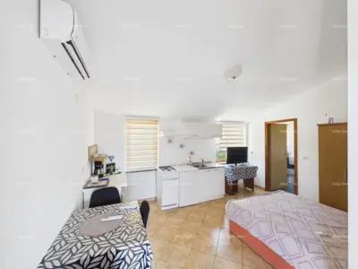 House 260 m², Poreč - pool and landscaped yard - 21