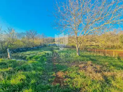 Building plot 1,680 m², Grožnjan - quiet location