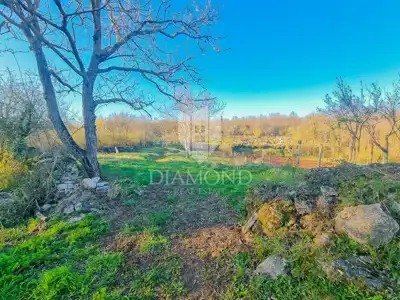 Building plot 1,680 m², Grožnjan - quiet location - 4