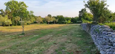 Zemljište 900m² u Filipani, idealno za kuće za odmor
